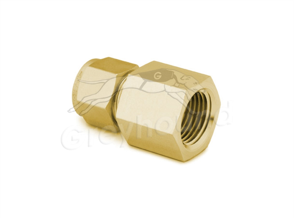 Picture of Female NPT Connector 1/8"T-1/8"P Brass Swagelok 